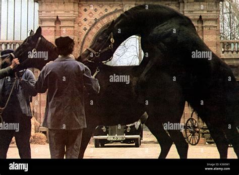 la bete 1975|La bestia (1975) .